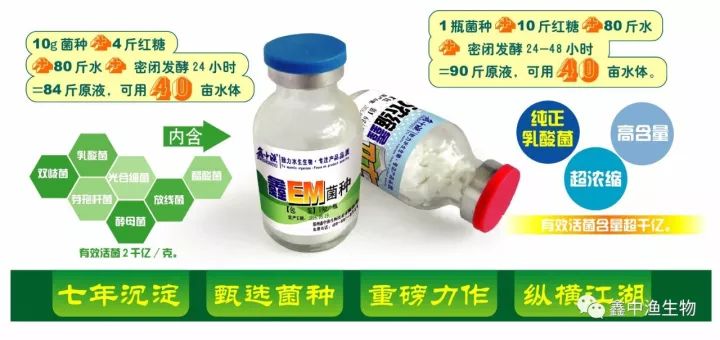 用药养殖鱼技术要点_用药养殖鱼技术视频_鱼养殖用药技术