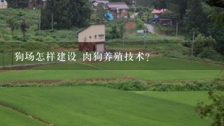 狗场怎样建设 肉狗养殖技术？到哪里去找养殖肉狗技术，养殖一只肉狗成本