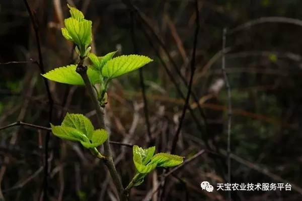 骆兵基《萧红小传》_致富经王新兵_致富经王基兵联系方