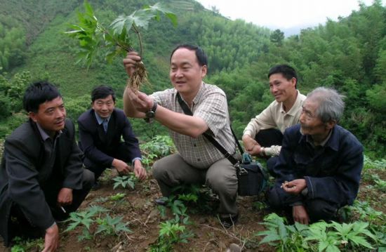 种地如何致富_土地种植致富技巧_致富种植土地技巧有哪些