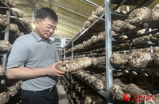 致富种植土地技巧有哪些_土地种植致富技巧_种地如何致富