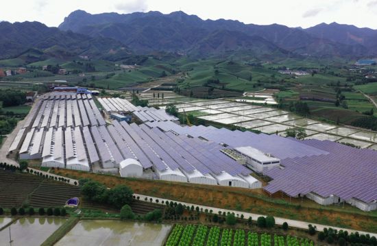 致富种植土地技巧有哪些_种地如何致富_土地种植致富技巧