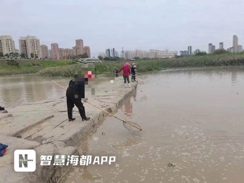 致富经鱼苗繁殖_致富经鱼苗_繁殖鱼赚钱