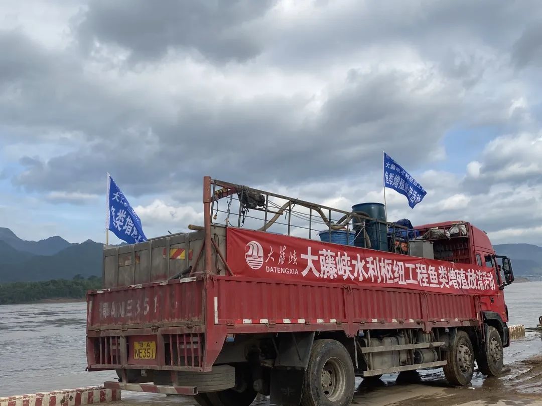 致富繁殖鱼苗图片_致富经鱼苗繁殖_繁殖鱼赚钱