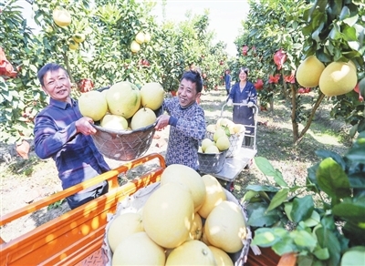 大虾养殖视频教程_大虾养殖_特大虾养殖技术