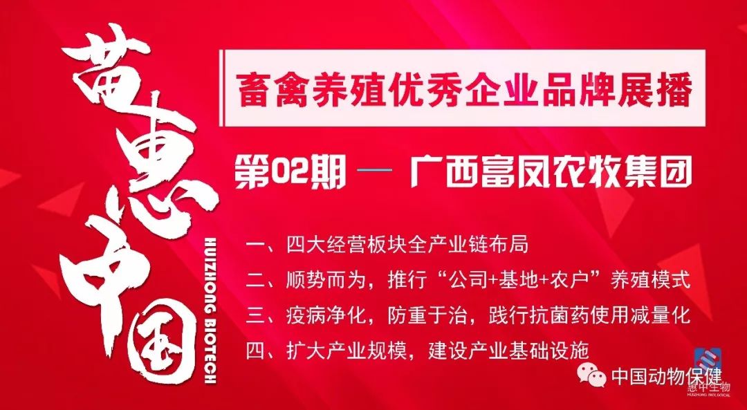 【苗惠中国】顺势生长，合作共赢 ——访广西富凤集团