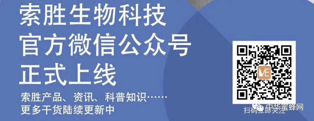 山蜜蜂养殖技术_蜜蜂养殖实用技术视频_蜜蜂养殖技术视频播放