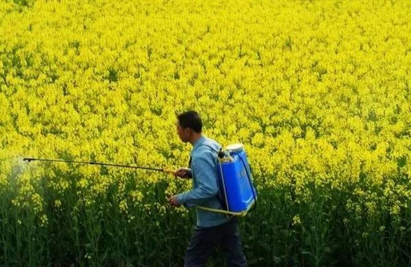 农业赚钱难？不妨换一种方式，学学这十三个致富例子