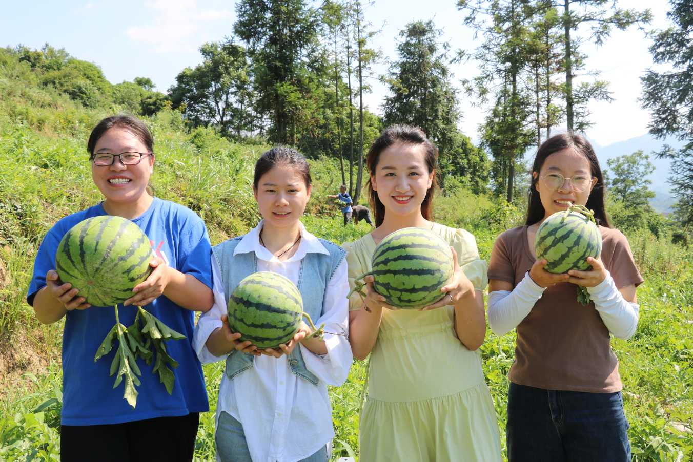 竹业加工致富经_土地种植致富竹_致富竹种植土地面积多少