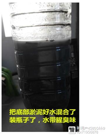 大棚对虾养殖技术教程_大棚对虾养殖技术视频_大棚养殖对虾前景如何