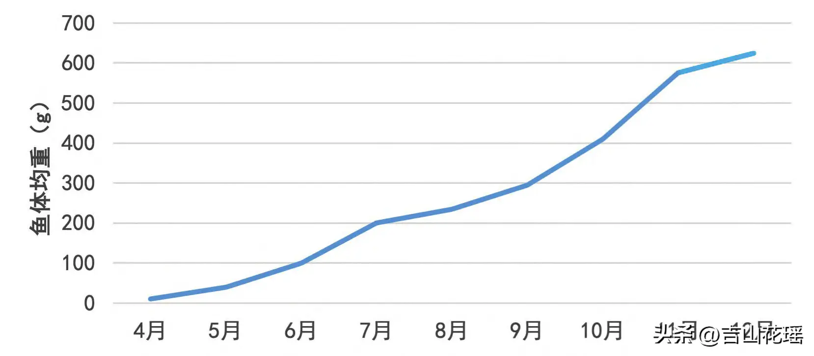 刘家峡水库虹鳟鱼网箱养殖当年养成技术