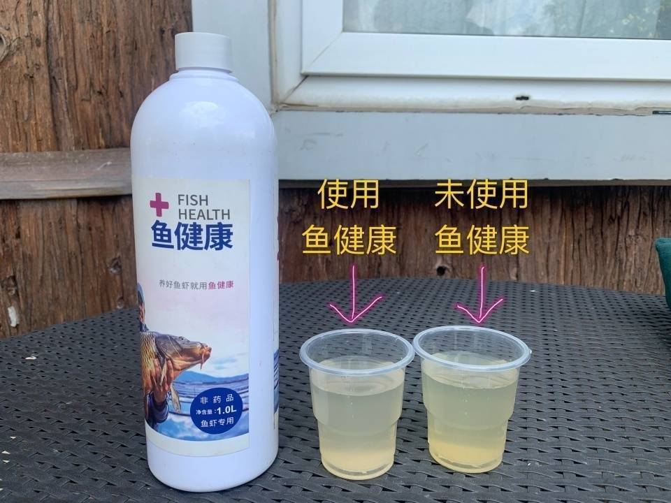 黄鳝网箱养殖新技术_养黄鳝网箱网目多少合适_养黄鳝网箱养殖技术