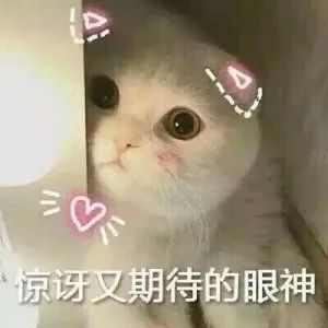 五脚猪养殖技术_养殖猪脚技术要求_养殖猪脚技术视频