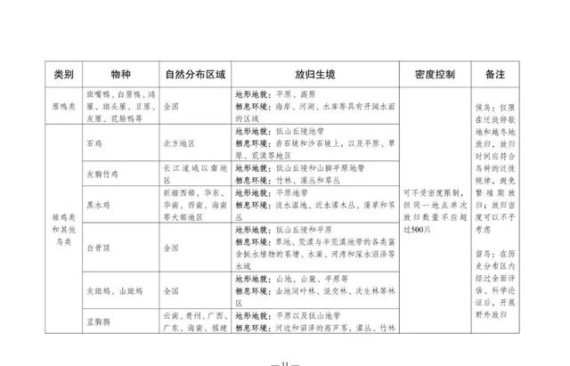 滑鼠蛇养殖技术_蛇养殖技术视频_滑鼠蛇饲养