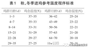 冬季是鸡养殖技术_冬天养殖鸡需要注意哪些_冬季养鸡是不是风险很大