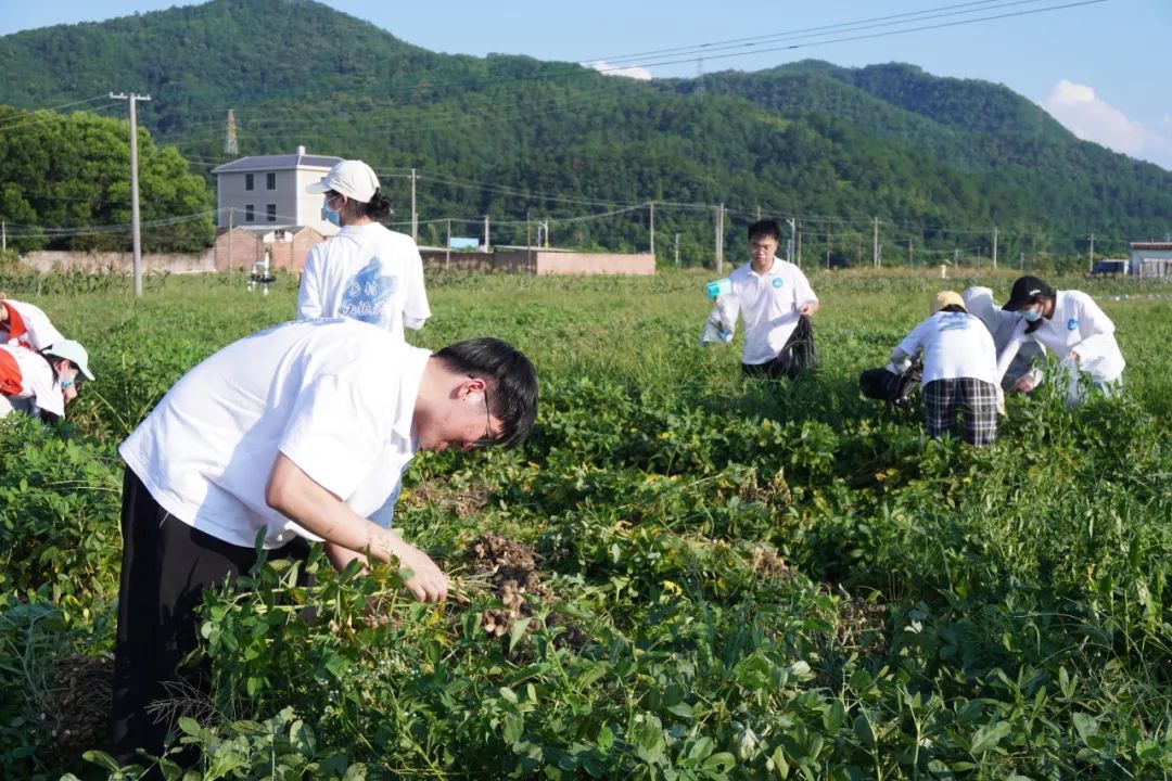 优秀回答_优质回答经验100字怎么写_优质回答的100个经验