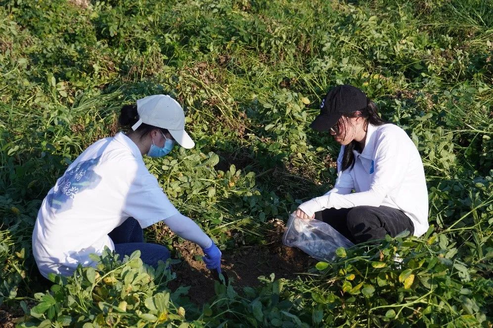 优质回答经验100字怎么写_优秀回答_优质回答的100个经验