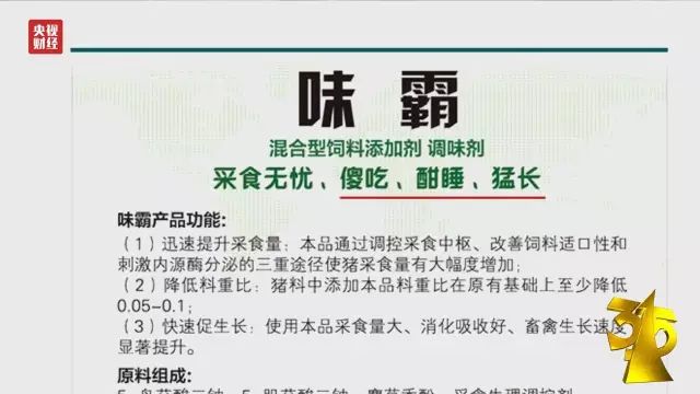 济南养殖獭兔技术怎么样_济南獭兔养殖技术_济南养殖獭兔技术培训