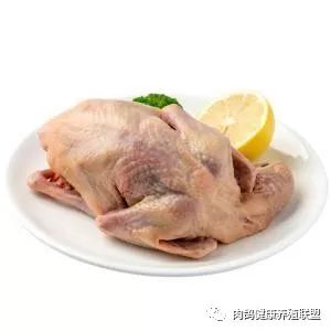 肉鸽子养殖技术视频播放_东北肉鸽子养殖技术大全_东北肉鸽养殖基地