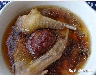 东北肉鸽养殖基地_东北肉鸽子养殖技术大全_肉鸽子养殖技术视频播放