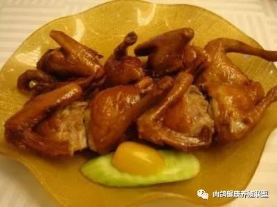 东北肉鸽子养殖技术大全_东北肉鸽养殖基地_肉鸽子养殖技术视频播放