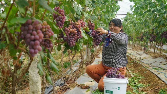 致富经养殖业_养殖致富之路图片_致富养殖之路图片素材