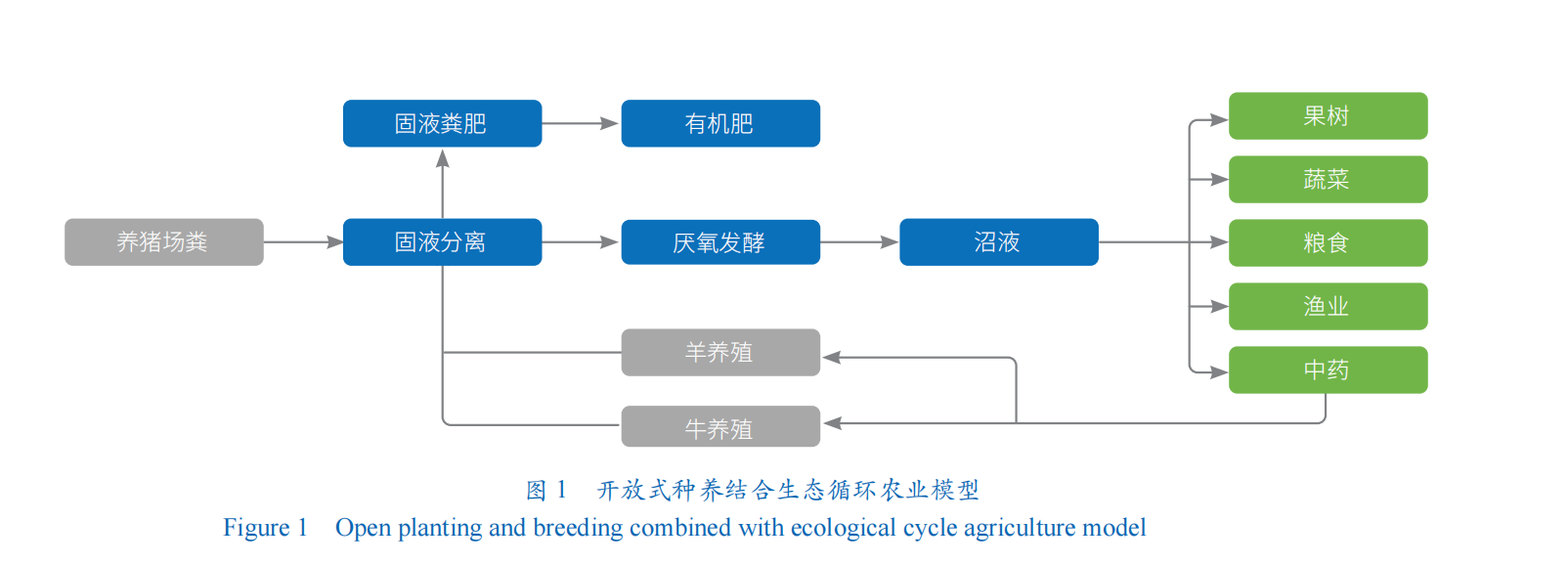 中药种植致富套路_种植致富药材_中草药种植骗局