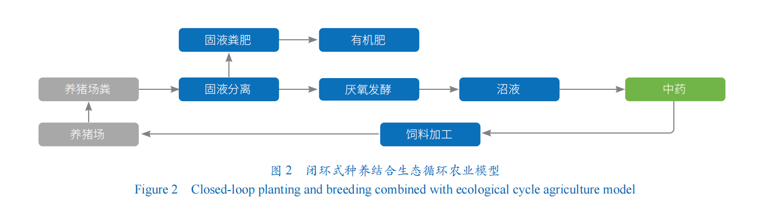 种植致富药材_中药种植致富套路_中草药种植骗局