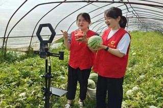 致富烟草种植材料有哪些_致富烟草种植材料是什么_种植烟草致富材料