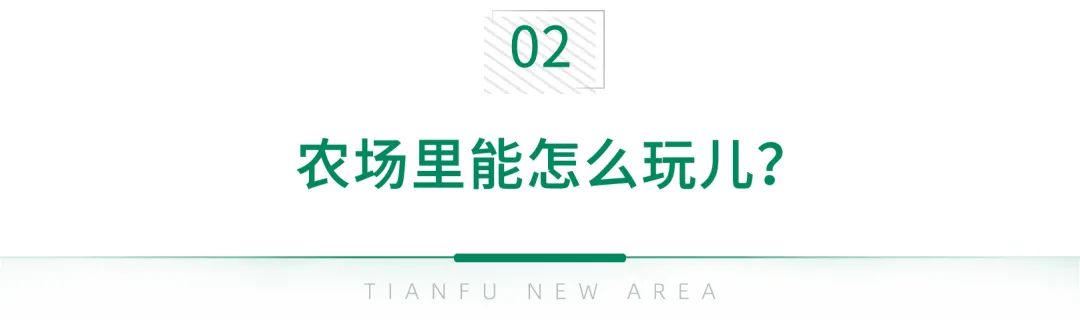 致富经农业养殖视频_致富经视频生态农场_农业致富栏目