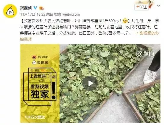 豆虫养殖视频_豆虫人工养殖技术视频_致富经豆虫视频