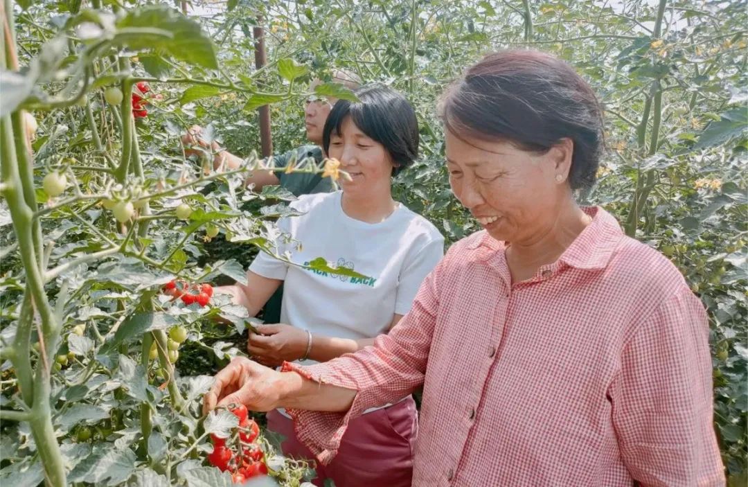 致富养殖种植特色介绍_致富养殖业_特色种植养殖致富