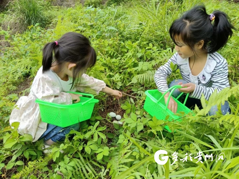 龙里：返乡开设养殖场 走出增收致富路