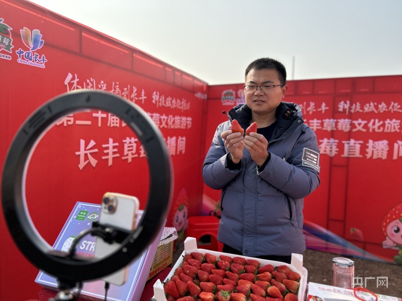 致富种植草莓怎么样_草莓种植 致富_致富种植草莓图片