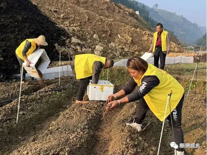 广西蚯蚓养殖技术视频_广西助农蚯蚓养殖_广西蚯蚓养殖致富