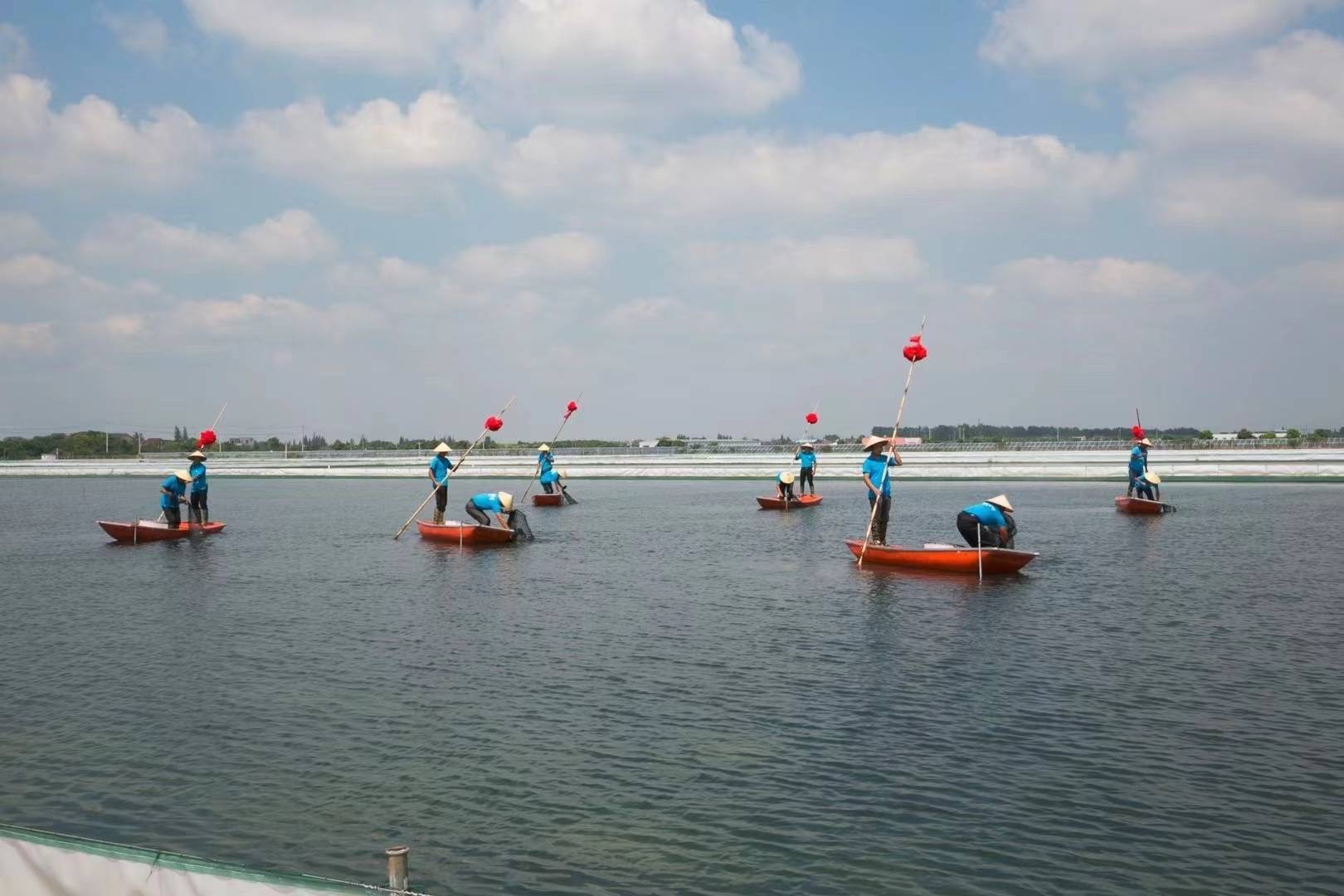 致富经之阳澄湖大闸蟹_阳澄湖大闸蟹挣多少钱_阳澄湖大闸蟹挣钱吗