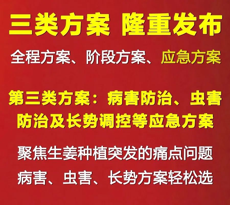 大姜种植技术视频大全_种姜教程视频_种植姜的技术视频