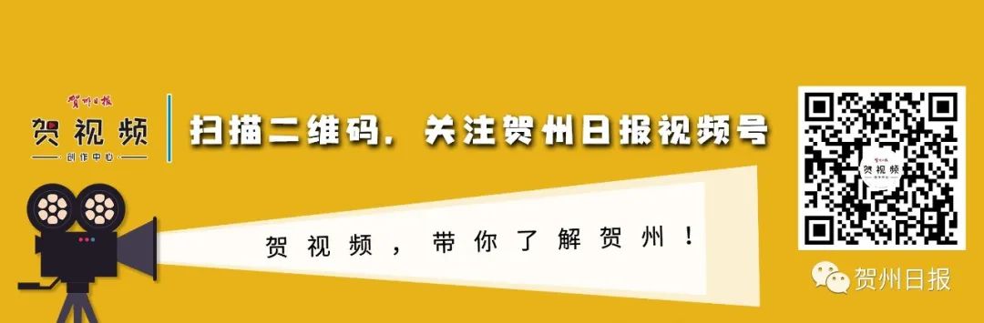 牛种改良技术_改良牛可以繁殖吗_改良牛养殖技术讲解