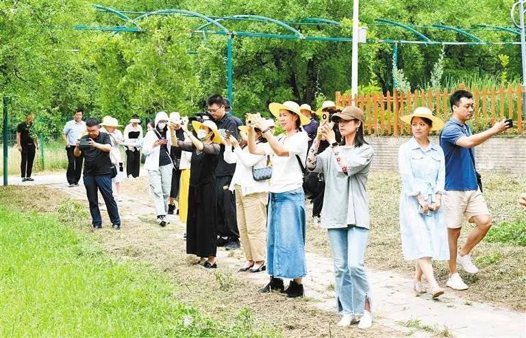 致富经室内花养殖女_室内养植致富项目_在家养花致富