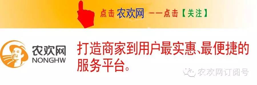 向日葵的养殖技术_向日葵养殖技术视频_向日葵养殖技术与管理