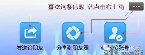 向日葵的养殖技术_向日葵养殖技术视频_向日葵养殖技术与管理