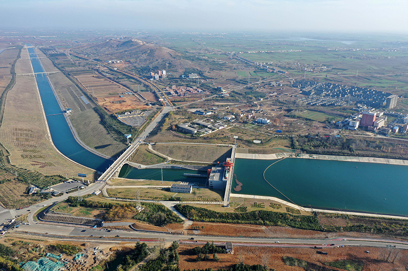 河南养锦鲤的地方_河南养殖锦鲤致富_致富养殖河南锦鲤视频