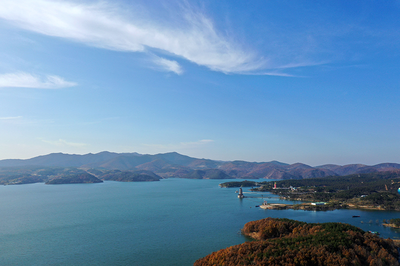 河南养殖锦鲤致富_致富养殖河南锦鲤视频_河南养锦鲤的地方