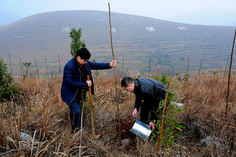 致富养殖河南锦鲤视频_河南养殖锦鲤致富_河南养锦鲤的地方