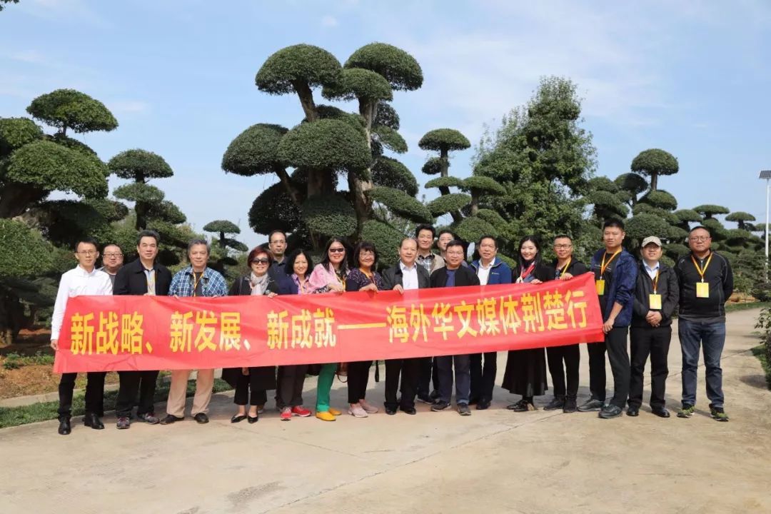 盆景名贵树种种植致富项目_名贵树盆栽_种名贵树有哪些好处