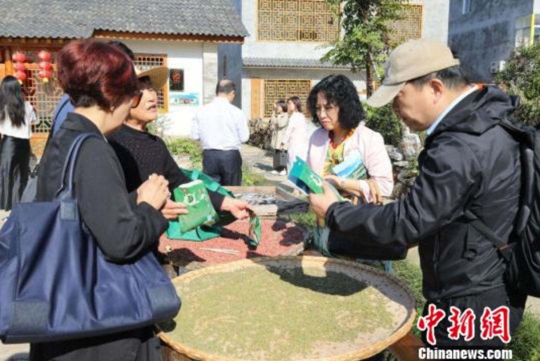 名贵树盆栽_盆景名贵树种种植致富项目_种名贵树有哪些好处