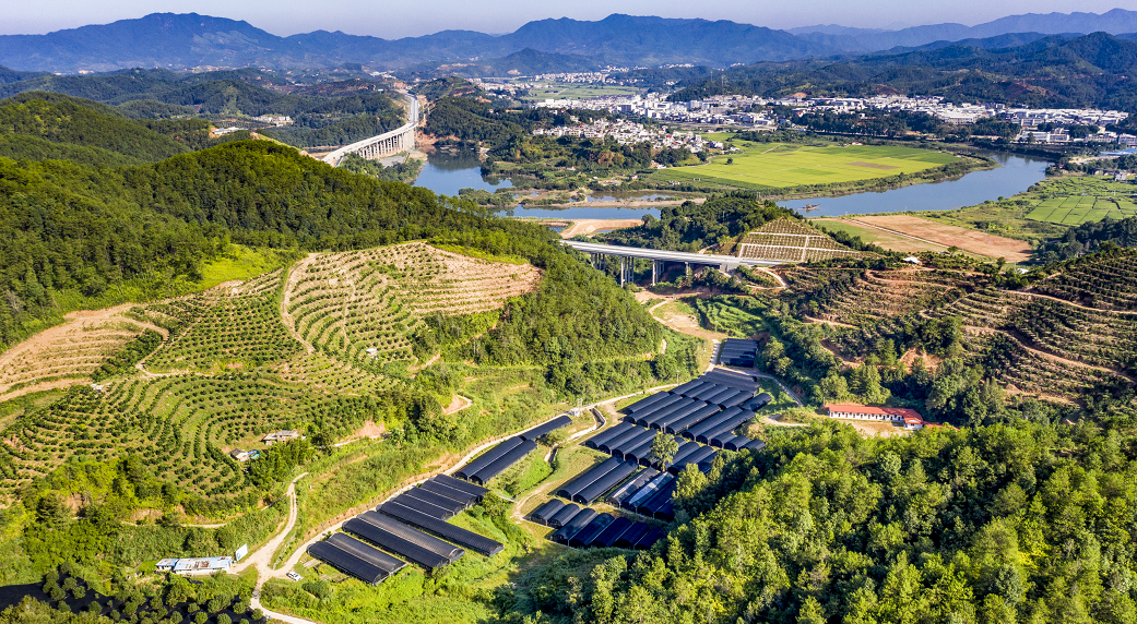 移民种植致富果_农民种植致富_移民致富提升标语