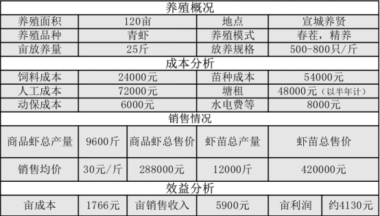 人工青虾怎么养殖技术_青虾养殖技术视频全集_青虾养殖新技术