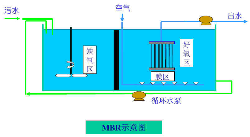 牛蛙养殖视频直播_牛蛙养殖场视频_中国牛蛙养殖技术视频