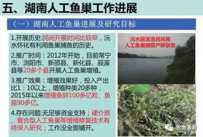 鱼的淡水养殖技术_淡水鱼养殖技术全集_淡水养殖鱼技术视频